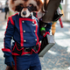 Illustration for article titled Its Not A Trap: The Most Incredible Cosplay From Long Beach Comic Con!